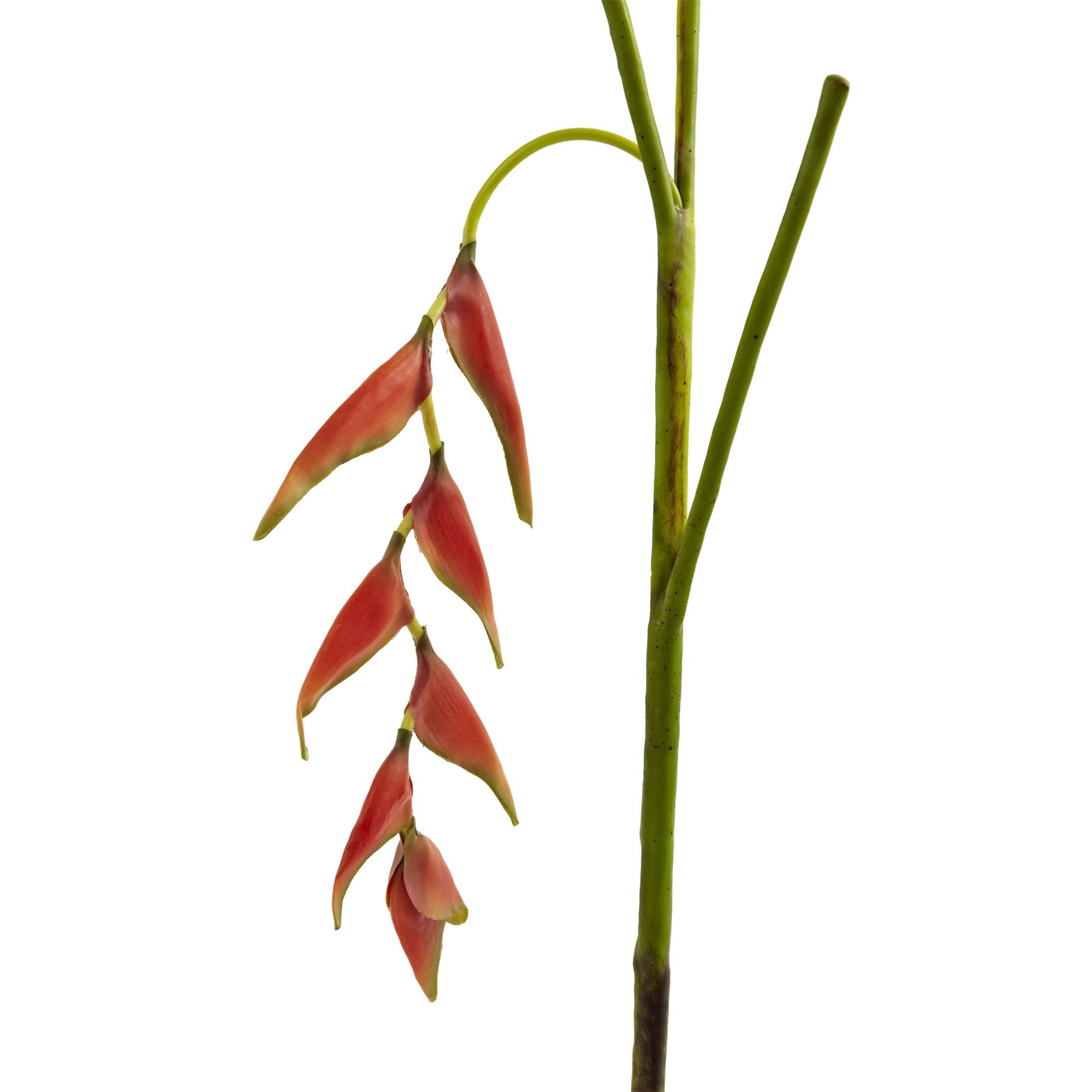 Orange Hanging Lobster Claw Flower, 4ct.